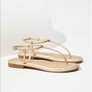 Modern Thong Sandal Soft Gold Loft NWT